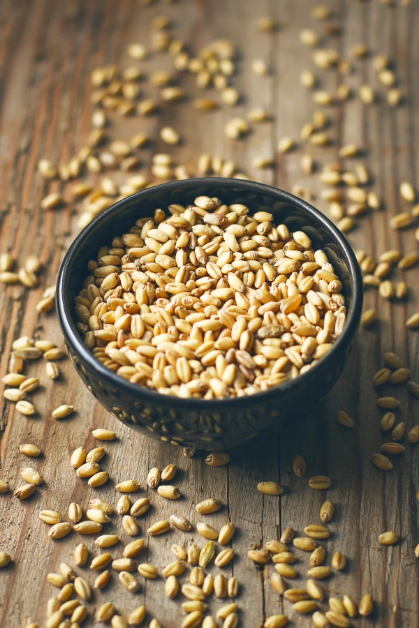 SKB seed