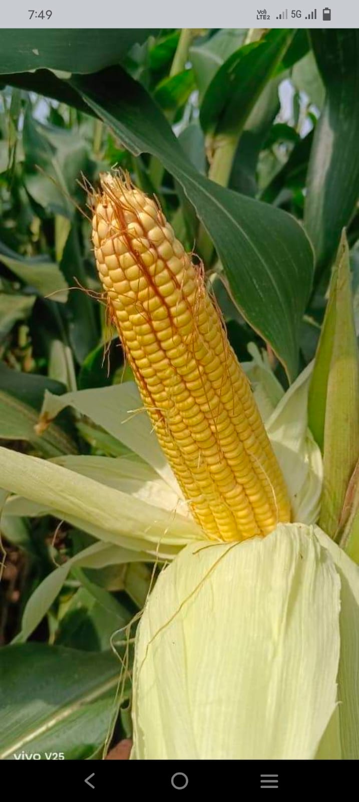  SKB