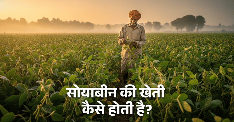 There are Many Variations of Available