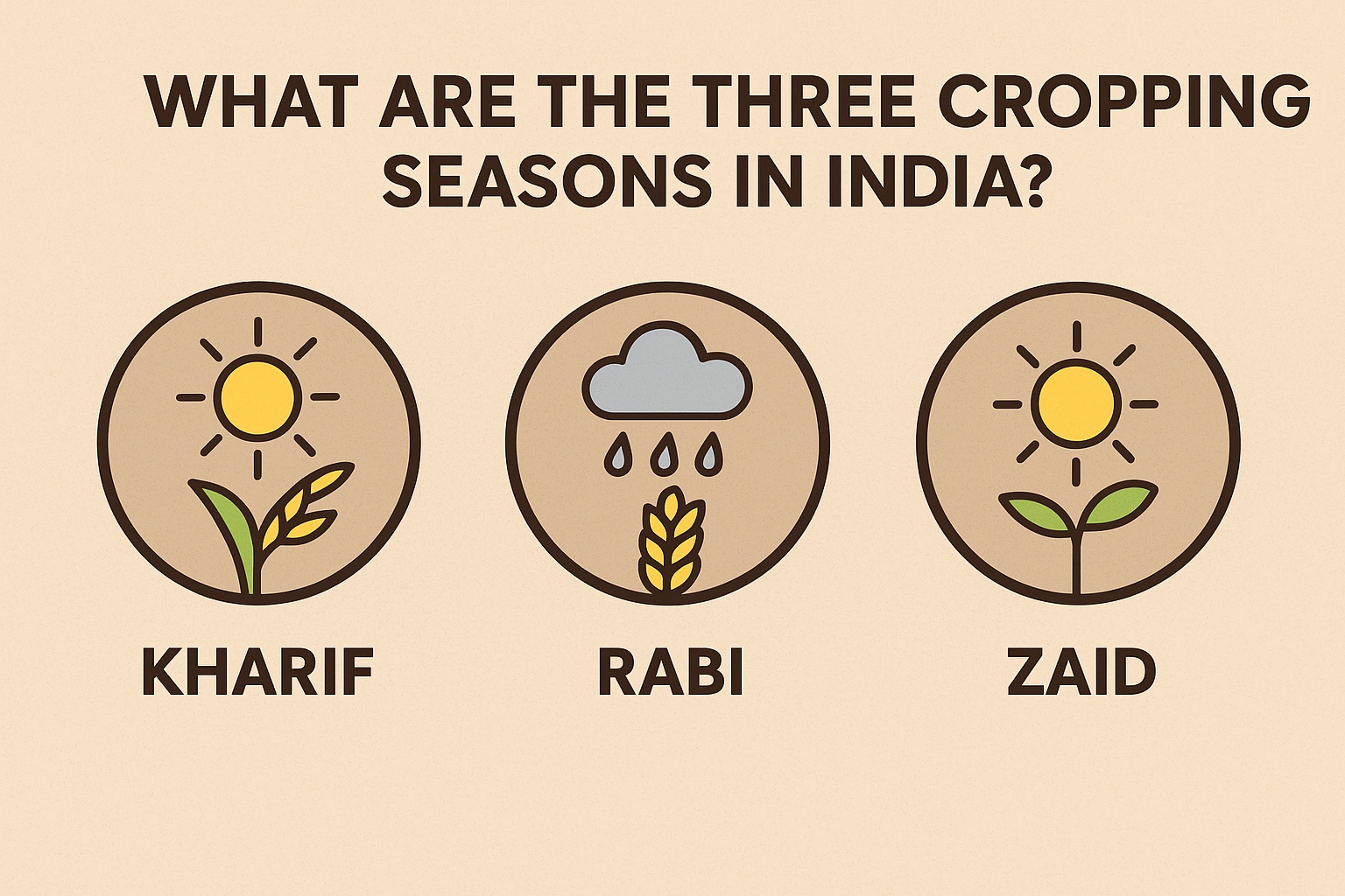 There are Many Variations of Available